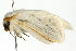  ( - BIOUG02086-A11)  @13 [ ] CreativeCommons - Attribution (2012) CBG Photography Group Centre for Biodiversity Genomics