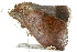  ( - BIOUG02087-B01)  @12 [ ] CreativeCommons - Attribution (2012) CBG Photography Group Centre for Biodiversity Genomics