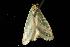  ( - 2005-TASER-SBP-2345)  @13 [ ] Unspecified (default): All Rights Reserved  Unspecified Unspecified