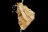  ( - 2005-TASER-SBP-2492)  @13 [ ] Copyright (2010) Unspecified Unspecified