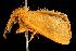  ( - 2006-TASER-SBP-2545)  @12 [ ] Copyright (2010) Unspecified Unspecified