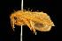  ( - 2006-TASER-SBP-2569)  @12 [ ] Copyright (2010) Unspecified Unspecified