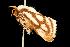  ( - 2006-TASER-SBP-2603)  @14 [ ] Copyright (2010) Unspecified Unspecified