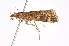  ( - K287747)  @13 [ ] CreativeCommons - Attribution Non-Commercial Share-Alike (2011) Andrew Mitchell Australian Museum