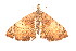  ( - K291300)  @13 [ ] CreativeCommons - Attribution Non-Commercial Share-Alike (2011) Andrew Mitchell Australian Museum
