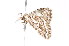  ( - K291549)  @12 [ ] CreativeCommons - Attribution Non-Commercial Share-Alike (2011) Andrew Mitchell Australian Museum