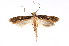  ( - K292217)  @15 [ ] CreativeCommons - Attribution Non-Commercial Share-Alike (2011) Andrew Mitchell Australian Museum