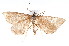  ( - K292250)  @14 [ ] CreativeCommons - Attribution Non-Commercial Share-Alike (2011) Andrew Mitchell Australian Museum