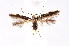  ( - K292276)  @13 [ ] CreativeCommons - Attribution Non-Commercial Share-Alike (2011) Andrew Mitchell Australian Museum