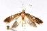  ( - K292350)  @14 [ ] CreativeCommons - Attribution Non-Commercial Share-Alike (2011) Andrew Mitchell Australian Museum