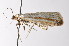  ( - am10759)  @13 [ ] CreativeCommons - Attribution Non-Commercial Share-Alike (2011) Andrew Mitchell Australian Museum