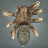  ( - BOLD-3LZIR6KC4)  @11 [ ] CreativeCommons  Attribution Non-Commercial No Derivatives (2018) Nigel Binks University of Waikato