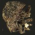 (Zeacalles - BOLD-3M0V9BHC8)  @11 [ ] CreativeCommons  Attribution Non-Commercial No Derivatives (2018) Nigel Binks University of Waikato
