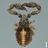  ( - BOLD-3M0ZJSPD3)  @11 [ ] CreativeCommons  Attribution Non-Commercial No Derivatives (2018) Nigel Binks University of Waikato
