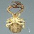  ( - BOLD-3M1C6LYT5)  @11 [ ] CreativeCommons  Attribution Non-Commercial No Derivatives (2018) Nigel Binks University of Waikato
