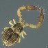  ( - BOLD-3M45RQBK6)  @11 [ ] CreativeCommons  Attribution Non-Commercial No Derivatives (2018) Nigel Binks University of Waikato