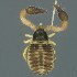  ( - BOLD-3M4CIP1T4)  @11 [ ] CreativeCommons  Attribution Non-Commercial No Derivatives (2018) Nigel Binks University of Waikato