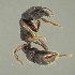  ( - BOLD-3M5GLZ2I2)  @11 [ ] CreativeCommons  Attribution Non-Commercial No Derivatives (2018) Nigel Binks University of Waikato