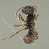 ( - BOLD-3M5GLZ2I2)  @11 [ ] CreativeCommons  Attribution Non-Commercial No Derivatives (2018) Nigel Binks University of Waikato