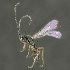  ( - BOLD-3M5UH0S25)  @12 [ ] CreativeCommons  Attribution Non-Commercial No Derivatives (2018) Nigel Binks University of Waikato