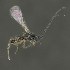  ( - BOLD-3M5UYGAH8)  @12 [ ] CreativeCommons  Attribution Non-Commercial No Derivatives (2018) Nigel Binks University of Waikato