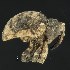 (Crisius - BOLD-3MEIZVFO3)  @13 [ ] CreativeCommons  Attribution Non-Commercial No Derivatives (2018) Nigel Binks University of Waikato