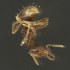  ( - BOLD-3MFR2PH69)  @11 [ ] CreativeCommons  Attribution Non-Commercial No Derivatives (2018) Nigel Binks University of Waikato