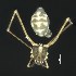  (Pahora - BOLD-3MG1KI8C8)  @11 [ ] CreativeCommons  Attribution Non-Commercial No Derivatives (2018) Nigel Binks University of Waikato