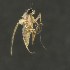  ( - BOLD-3MGJ425I6)  @13 [ ] CreativeCommons  Attribution Non-Commercial No Derivatives (2018) Nigel Binks University of Waikato
