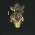  ( - BOLD-3MI6KPO57)  @11 [ ] CreativeCommons  Attribution Non-Commercial No Derivatives (2018) Nigel Binks University of Waikato