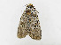  ( - ZZU.LS502)  @11 [ ] CreativeCommons  Attribution Non-Commercial Share-Alike (2023) Unspecified University of Zhengzhou