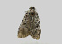  ( - ZZU.LS506)  @11 [ ] CreativeCommons  Attribution Non-Commercial Share-Alike (2023) Unspecified University of Zhengzhou