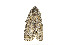  ( - ZZU.LS512)  @11 [ ] CreativeCommons  Attribution Non-Commercial Share-Alike (2023) Unspecified University of Zhengzhou