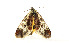  ( - ZZU.LS528)  @11 [ ] CreativeCommons  Attribution Non-Commercial Share-Alike (2023) Unspecified University of Zhengzhou