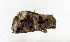  ( - ZZU.LS539)  @11 [ ] CreativeCommons  Attribution Non-Commercial Share-Alike (2023) Unspecified University of Zhengzhou