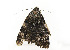  ( - ZZU.LS543)  @11 [ ] CreativeCommons  Attribution Non-Commercial Share-Alike (2023) Unspecified University of Zhengzhou