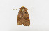  ( - ZZU.LS552)  @11 [ ] CreativeCommons  Attribution Non-Commercial Share-Alike (2023) Unspecified University of Zhengzhou