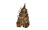  ( - ZZU.LS574)  @11 [ ] CreativeCommons  Attribution Non-Commercial Share-Alike (2023) Unspecified University of Zhengzhou