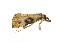  ( - ZZU.LS578)  @11 [ ] CreativeCommons  Attribution Non-Commercial Share-Alike (2023) Unspecified University of Zhengzhou
