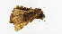  ( - ZZU.LS586)  @11 [ ] CreativeCommons  Attribution Non-Commercial Share-Alike (2023) Unspecified University of Zhengzhou