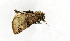  ( - ZZU.LS587)  @11 [ ] CreativeCommons  Attribution Non-Commercial Share-Alike (2023) Unspecified University of Zhengzhou