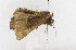  ( - ZZU.LS588)  @11 [ ] CreativeCommons  Attribution Non-Commercial Share-Alike (2023) Unspecified University of Zhengzhou