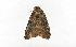  (Acosmetia chinensis - ZZU.LS599)  @11 [ ] CreativeCommons  Attribution Non-Commercial Share-Alike (2023) Unspecified University of Zhengzhou