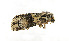  ( - ZZU.LS601)  @11 [ ] CreativeCommons  Attribution Non-Commercial Share-Alike (2023) Unspecified University of Zhengzhou
