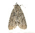  ( - ZZU.LS604)  @11 [ ] CreativeCommons  Attribution Non-Commercial Share-Alike (2023) Unspecified University of Zhengzhou