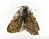  ( - ZZU.LS611)  @11 [ ] CreativeCommons  Attribution Non-Commercial Share-Alike (2023) Unspecified University of Zhengzhou