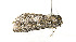  ( - ZZU.LS614)  @11 [ ] CreativeCommons  Attribution Non-Commercial Share-Alike (2023) Unspecified University of Zhengzhou