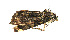  ( - ZZU.LS631)  @11 [ ] CreativeCommons  Attribution Non-Commercial Share-Alike (2023) Unspecified University of Zhengzhou