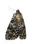  ( - ZZU.LS633)  @11 [ ] CreativeCommons  Attribution Non-Commercial Share-Alike (2023) Unspecified University of Zhengzhou