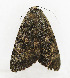  ( - ZZU.LS636)  @11 [ ] CreativeCommons  Attribution Non-Commercial Share-Alike (2023) Unspecified University of Zhengzhou